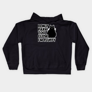 Don't Park Too Close I'm Fluffy Cute Cat Men Women Kids Kids Hoodie